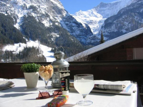 Casa Almis, Grindelwald